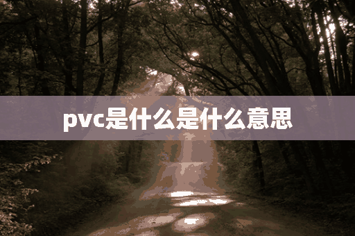 pvc是什么是什么意思